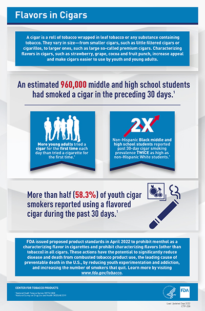 Flavors in Cigars infographic