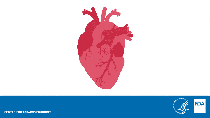 Smoking can cause plaque buildup in your arteries, which can lead to heart attack or stroke. Learn more about how smoking can affect your heart: https://www.fda.gov/tobacco-products/health-effects-tobacco-use/how-smoking-affects-heart-health?utm_source=CTPPartnerSocial&utm_medium=social&utm_campaign=ctp-healthobservance via @FDATobacco.